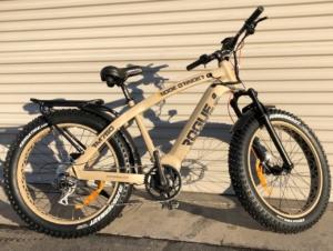 Rogie Ridge RM750 E-Bike