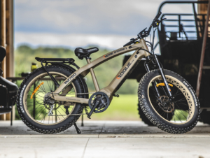 Rogie Ridge RM750 E-Bike