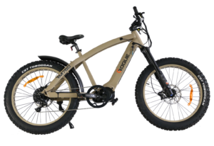 Rogie Ridge RM750 E-Bike