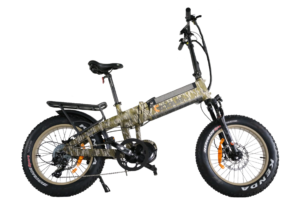 Rogie Ridge RT750 E-Bike
