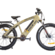 Rogie Ridge RB1000 E-Bike