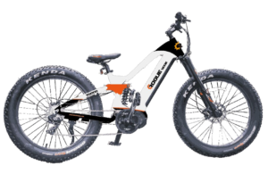 Rogie Ridge RX1000 E-Bike