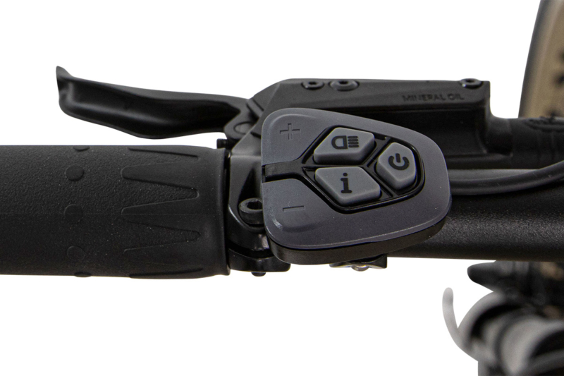 RG1000 – 1000-Watt Electric Fat Tire Bike - Image 6