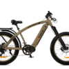 RG1000 – 1000-Watt Electric Fat Tire Bike