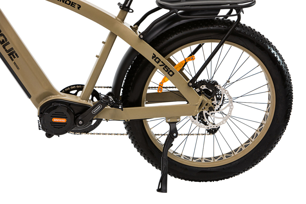 RG750 750Watt Electric Fat Tire Bike