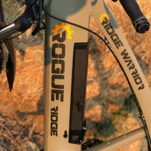 Rogie Ridge RM750 E-Bike